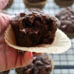 Chocolate Zucchini Muffins