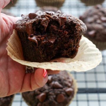 Chocolate Zucchini Muffins