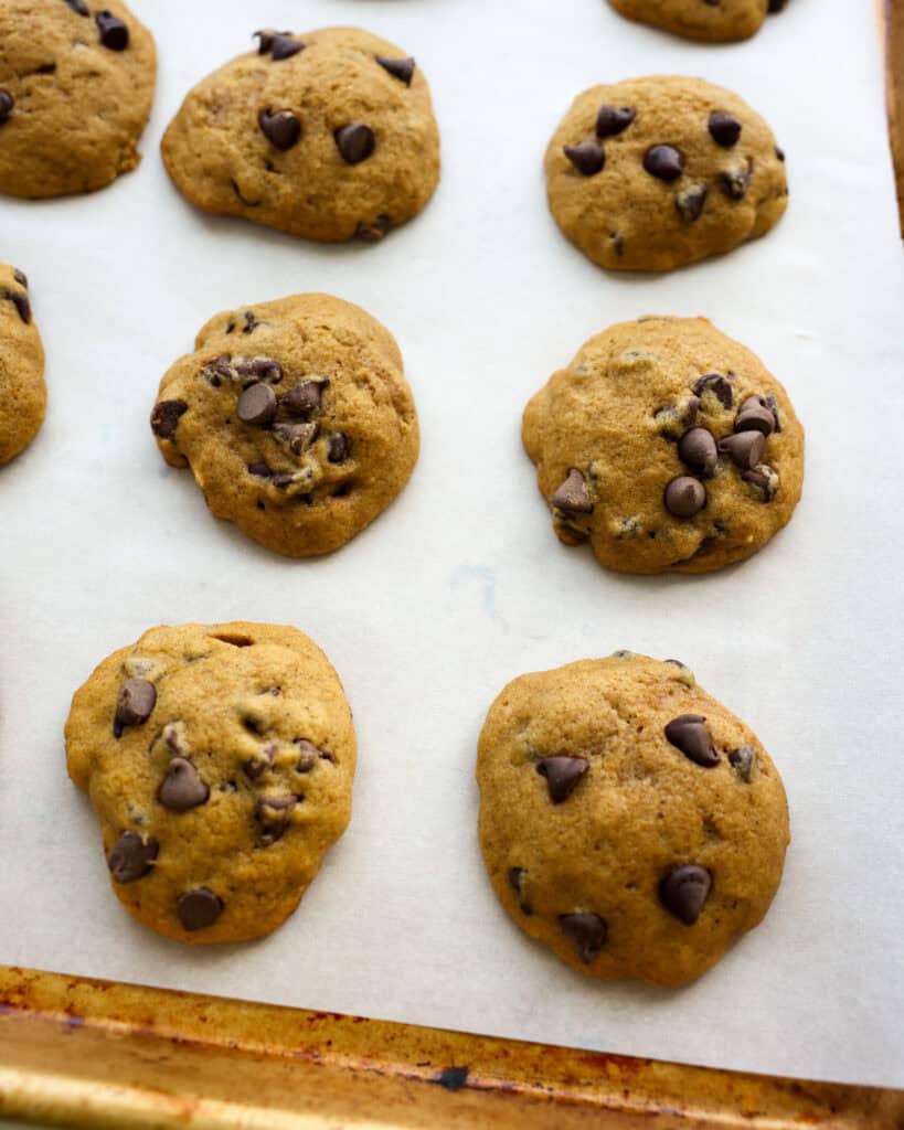 Pumpkin pie spice cookies on a baking sheet covered with parchment paper.