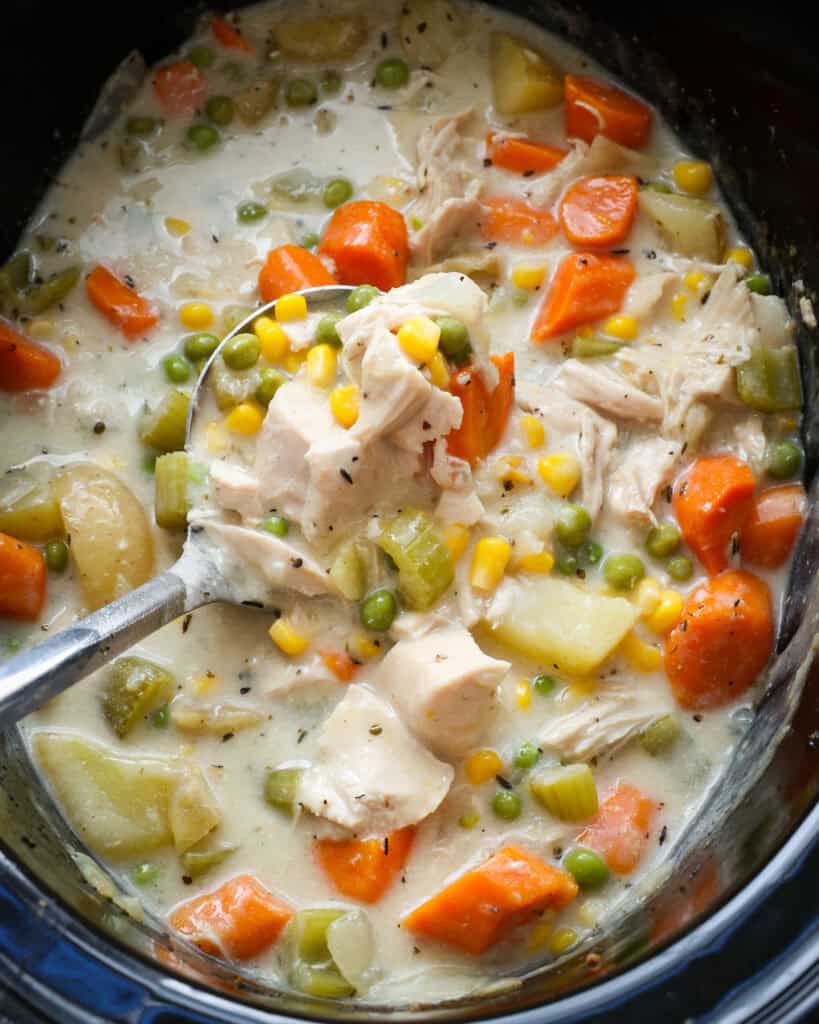 A close up view of a ladle and crock pot full of chicken stew. 